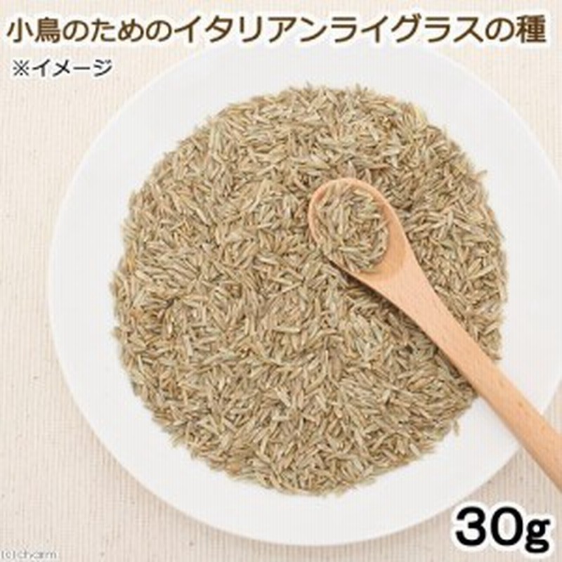 小鳥のためのイタリアンライグラスの種 ３０ｇ 小鳥 ハムスター 通販 LINEポイント最大1.0%GET | LINEショッピング
