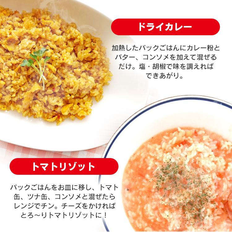 [450円OFFクーポン]パックご飯 200g×40食 アイリスオーヤマ レトルトご飯 低温製法米 お米 非常食 防災 仕送り 国産米