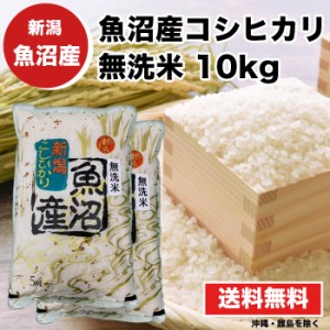 魚沼産コシヒカリ 10kg 5kg×2 無洗米 令和4年産 送料無料 新潟県 お米 最安値