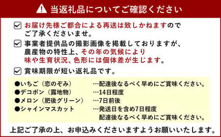  宇城市産 旬の フルーツ 定期便