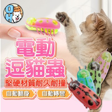 【歐豆K】電動逗貓蟲 逗貓玩具  昆蟲造型玩具 貓咪玩具 瓢蟲造型逗貓玩具 貓玩具  電動逗貓玩具  貓追逐玩具