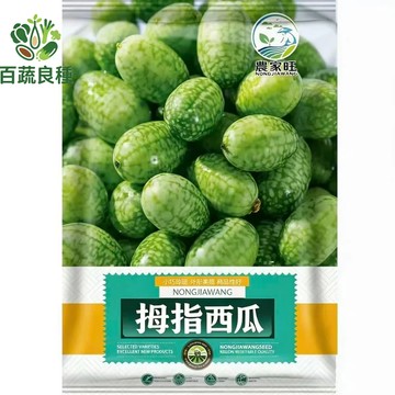 原裝拇指西瓜種子 迷你西瓜 佩普基諾 墨西哥酸黃瓜 可愛盆栽水果 陽台種植 可生食沙拉 趣味栽培 新奇瓜果 袖珍蔬果