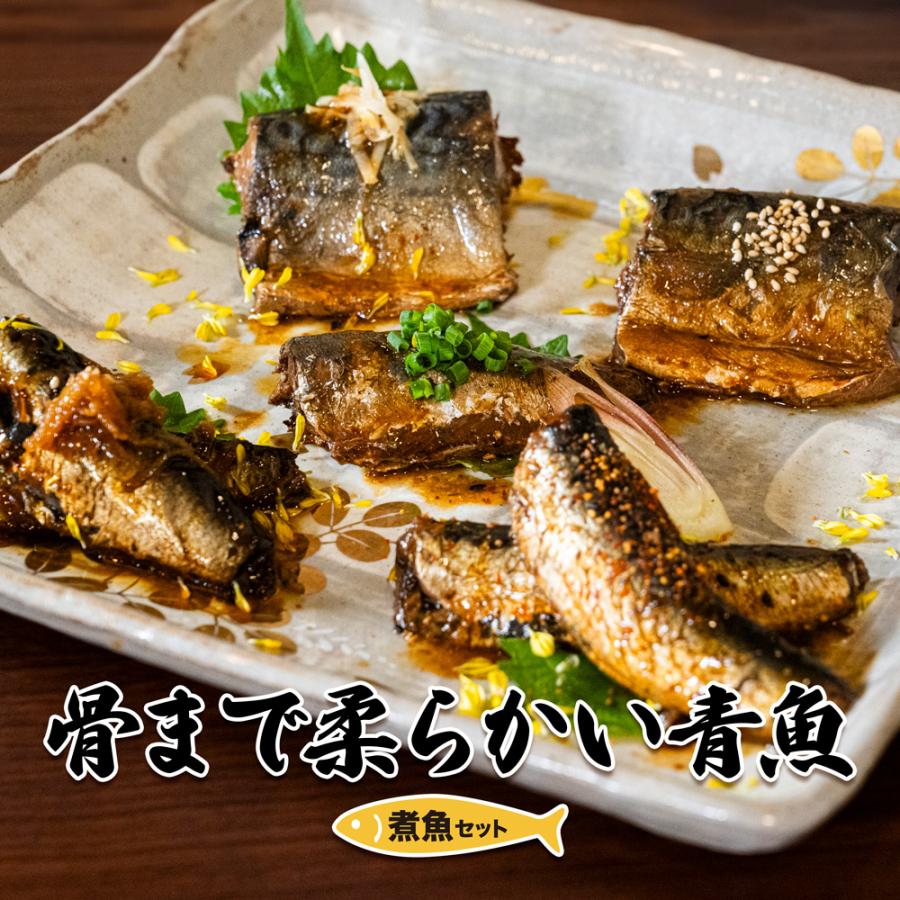 骨まで柔らかい青魚　煮魚5種セット　常温保存可能