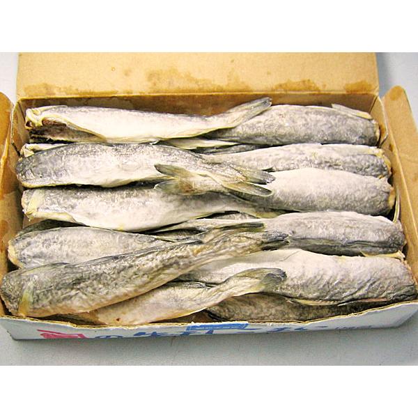 氷下魚(コマイ)天日干 1Kg (L 20尾前後）北海道根室産こまい一夜干