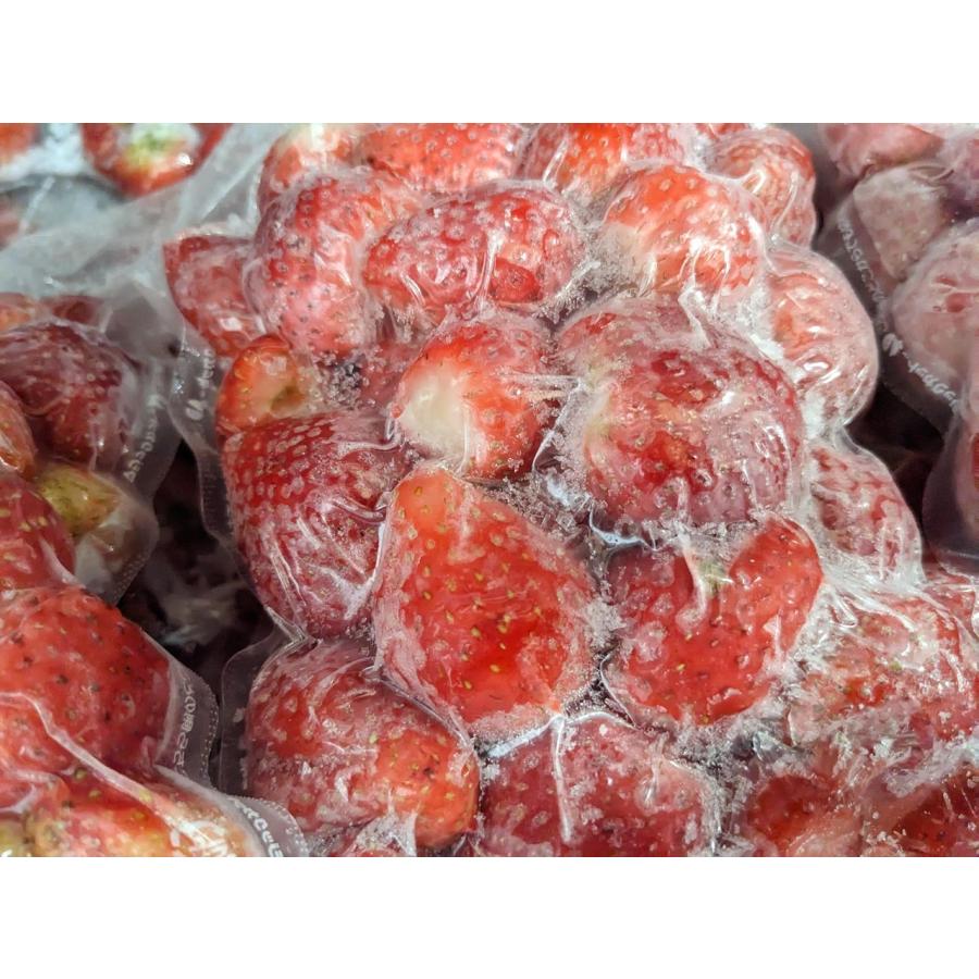 いちご 冷凍いちご  2kg 栃木県産 品種大きさ色々 イチゴ 苺 完熟 国産 業務用 真空パック
