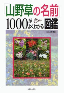 山野草の名前 1000がよくわかる図鑑