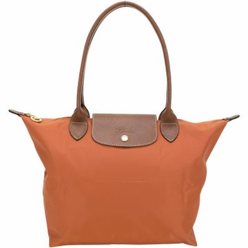 LONGCHAMP Le pliage 原創系列 長提把摺疊水餃包(M/磚紅)