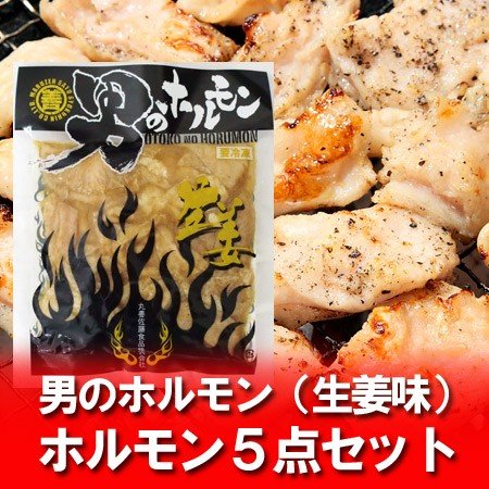 ホルモン 送料無料 生姜 ホルモン 男のホルモン 豚 ホルモン(生姜味) 200 g×5点セット 価格 3900円 加工地 北海道の味付け豚ホルモン 焼肉 豚ホルモン