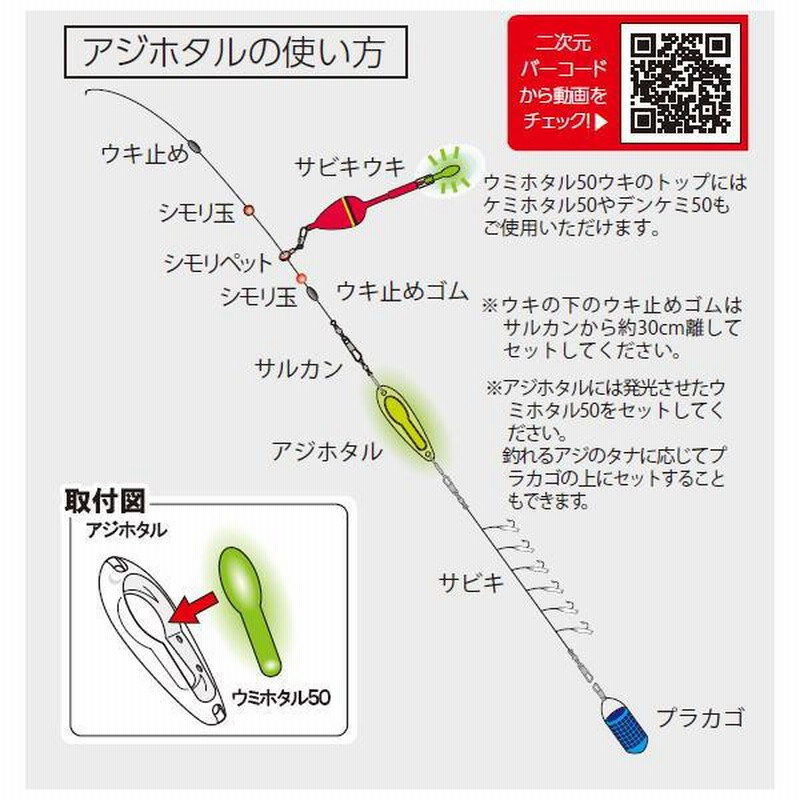 アミガサタケ　750g 025 Absinthe White 2025 - GOKA