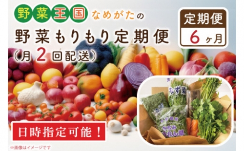 CU-141　野菜王国なめがたの野菜もりもり定期便（月２回発送）