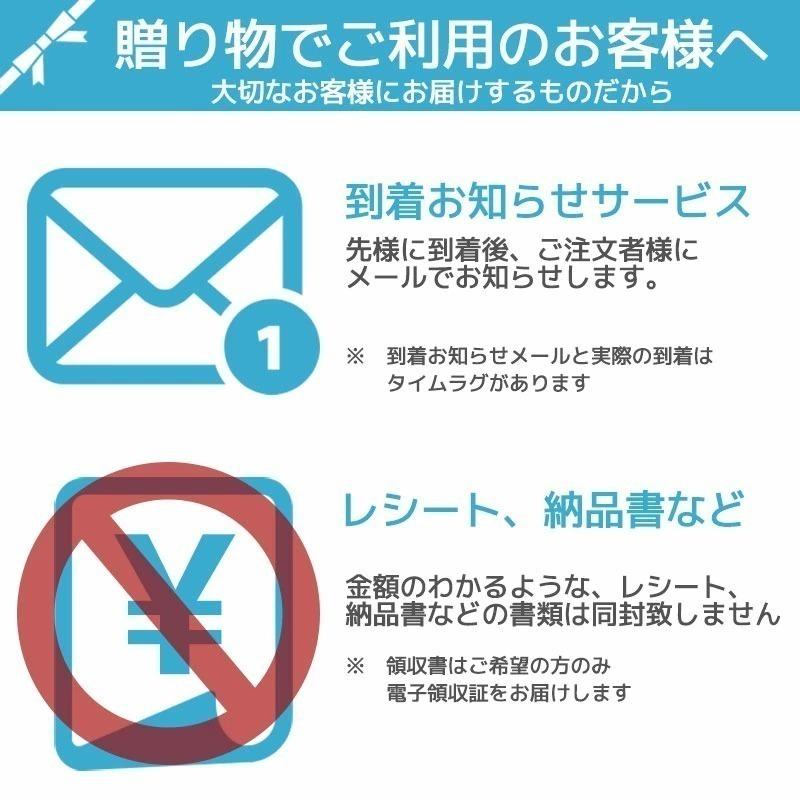 新米 ななつぼし 10kg（5kg×2袋） 北海道産 お米 令和5年 道産米 おこめ 北海道米 特A