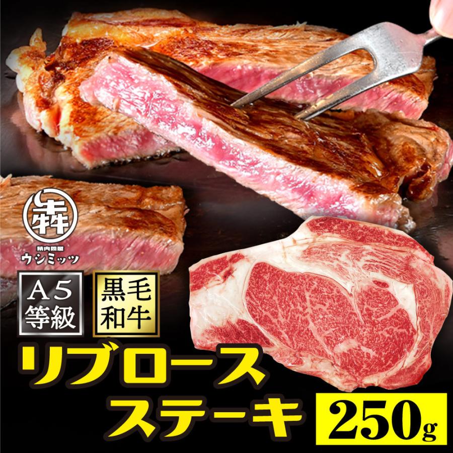 BBQ 食材 ステーキ 肉 牛肉 A5 黒毛和牛 リブロースステーキ 250g