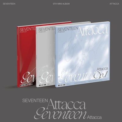 SEVENTEEN 500枚限定 生チェキ www.thearcticplayhouse.com