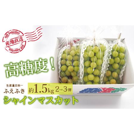 ふるさと納税 ＜2024年先行予約＞厳選！山梨県笛吹市産 シャインマスカット 約1.5kg(2〜3房) 156-006 山梨県笛吹市