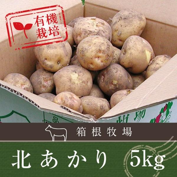 野菜 じゃがいも 北海道産 北あかり キタアカリ S〜2L 5kg 有機栽培