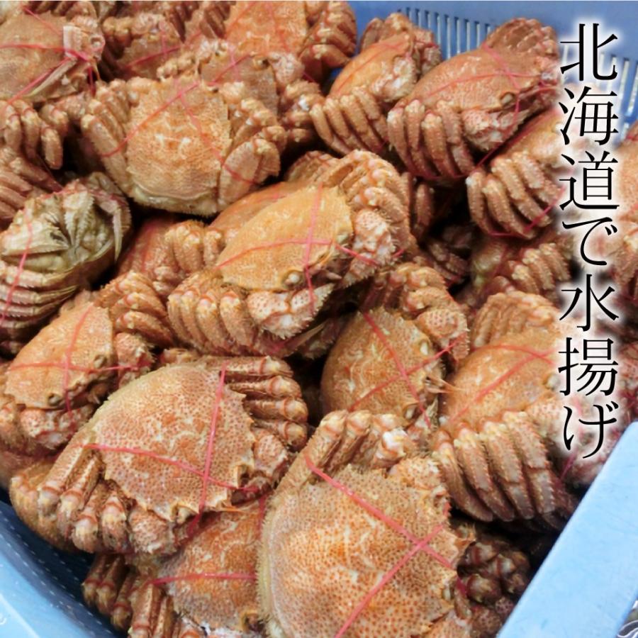 毛ガニ 約500g×1尾 北海道産 毛がに ボイル済