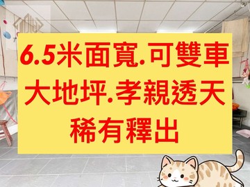 雙車別墅✨｜大面寬｜地31坪｜孝親宅｜一手旺宅｜台中市太平區精美路