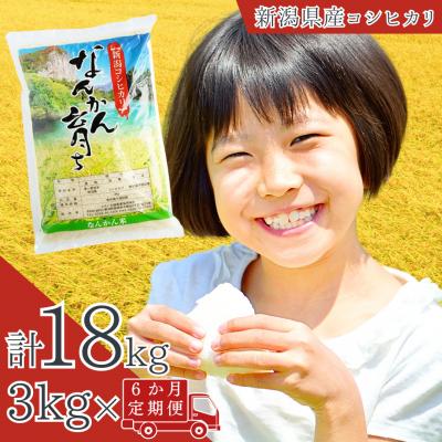 ふるさと納税 三条市 [定期便 3kg×6か月] 新米 コシヒカリ 新潟県産 こしひかり 令和5年産 