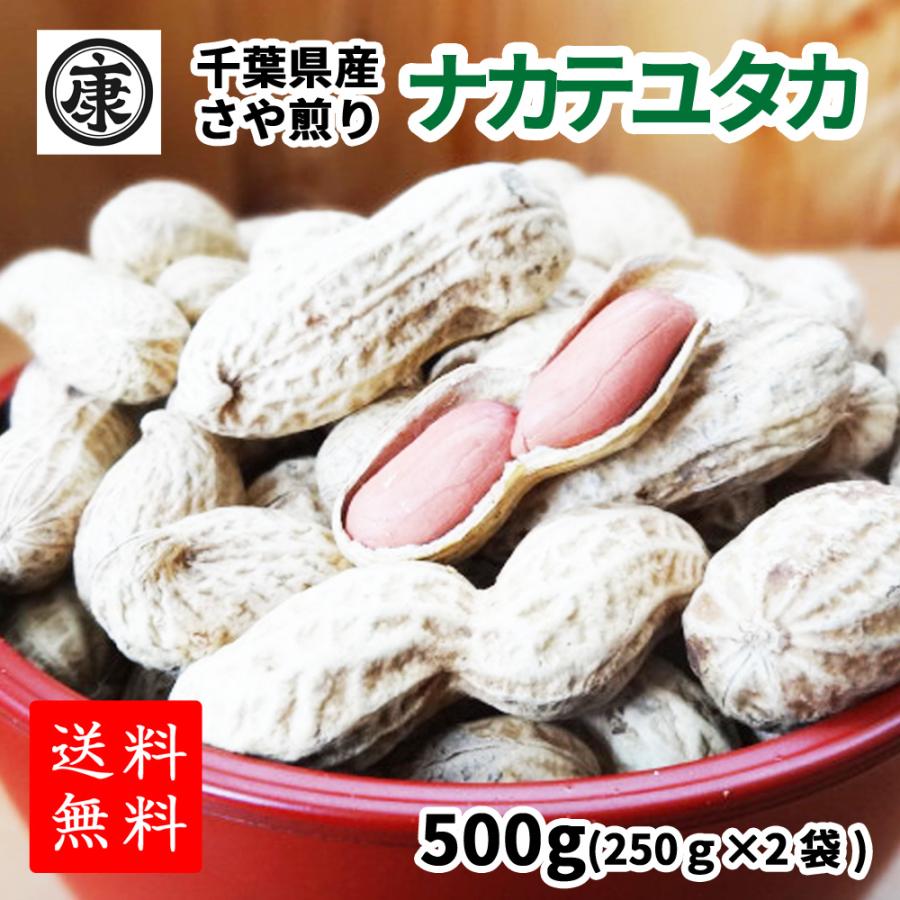 令和5年産新豆 千葉県産 落花生 ナカテユタカ 殻付き 500g（250g×2袋）お中元　お歳暮