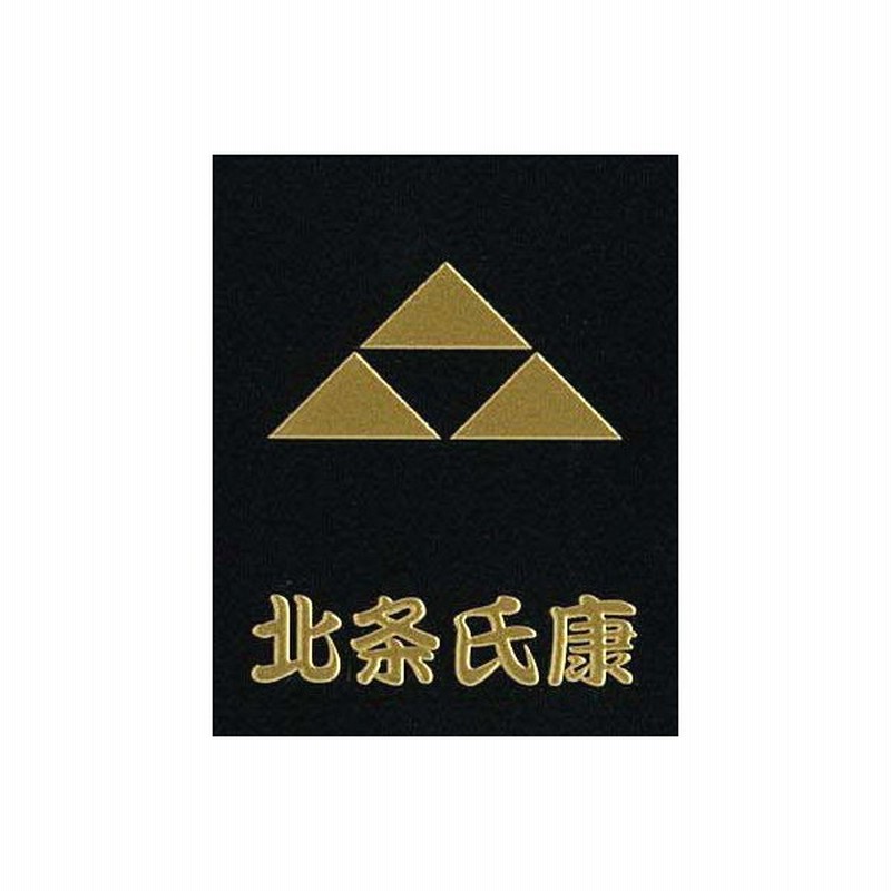 Sale 95 Off 日本戦国家紋 北条氏康 ワッペン パッチ Www Thewalldogs Com