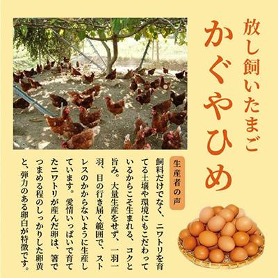 ふるさと納税 上毛町 放し飼いたまご『かぐやひめ』20個 全6回