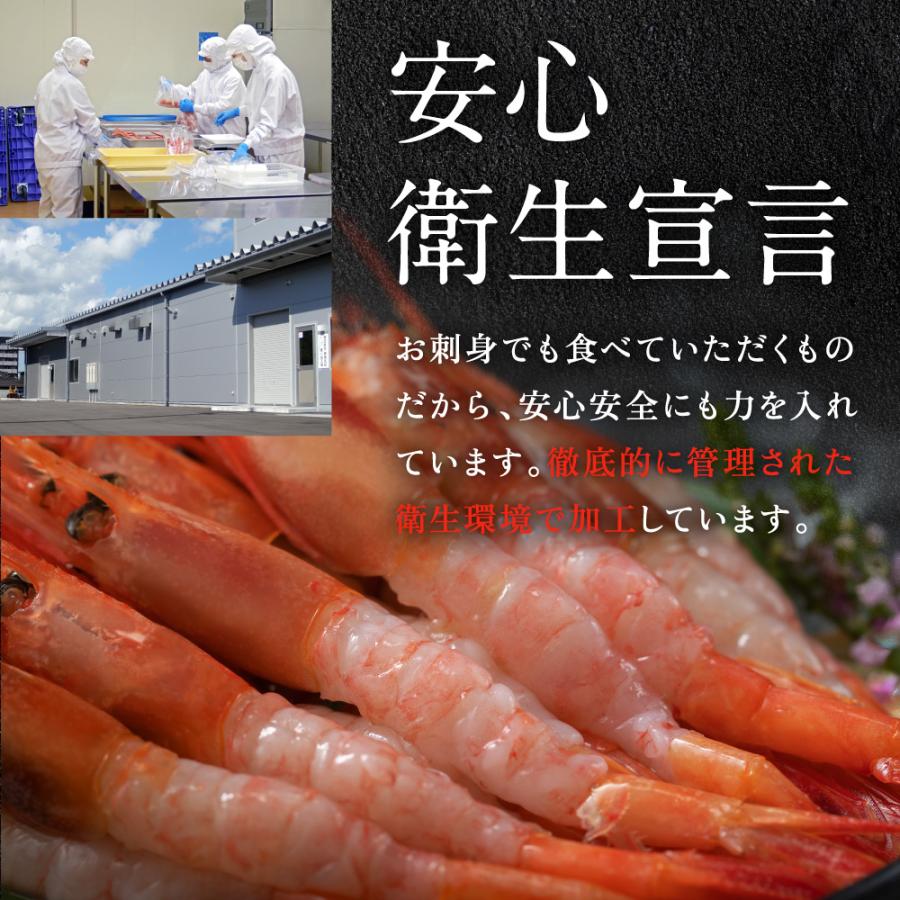 甘えび  甘海老 天然甘エビ 刺身 生食可 福井県産 純国産 無添加 冷凍甘エビ 1kg（500g×2箱） 送料無料 内祝い お歳暮 プレゼント ギフト