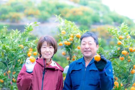 有田みかん 家庭用5kg  平武農園 農家直送