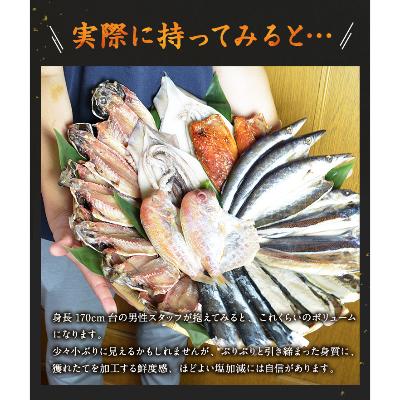 ふるさと納税 長崎市 　訳ありおまかせ干物セット　8種類(24枚)