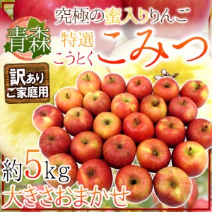 青森県 蜜だらけりんご ”こみつ” 訳あり 大きさおまかせ 約5kg こうとくりんご 送料無料