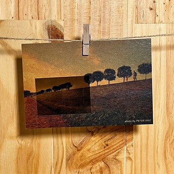 【堺系列02】觀景窗明信片