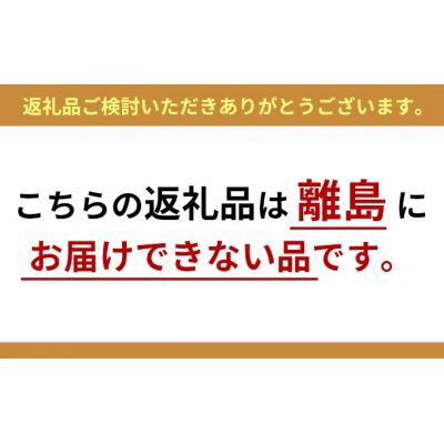 ふるさと納税 蔵王町 JAPAN X ベーコン900g(300g×3)[No.5800-0254]