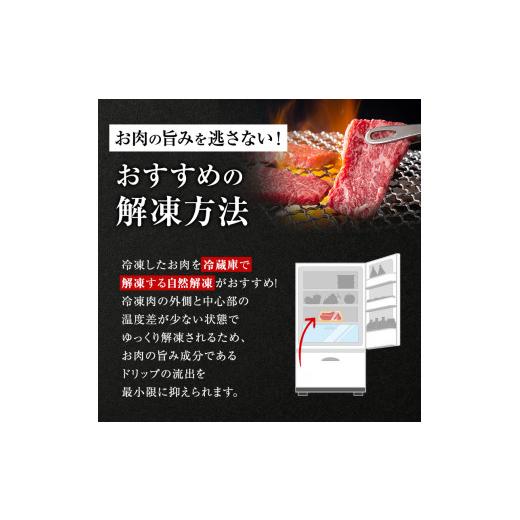 ふるさと納税 岐阜県 池田町 牛肉 飛騨牛 焼き肉 セット ロース 又は 肩ロース 600ｇ 黒毛和牛 Ａ5 美味しい お肉 牛 肉 和牛 焼肉 BBQ バーベキュー 【岐阜県…