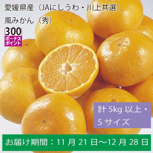 愛媛県産（JAにしうわ・川上共選）風みかん（秀）計５Kg以上・Ｓサイズ