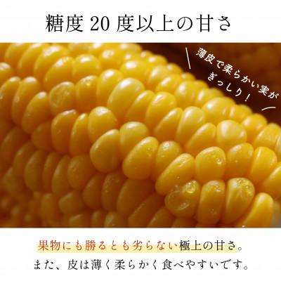 ふるさと納税 甲府市 Inakakara「おおもの」とうもろこし10本