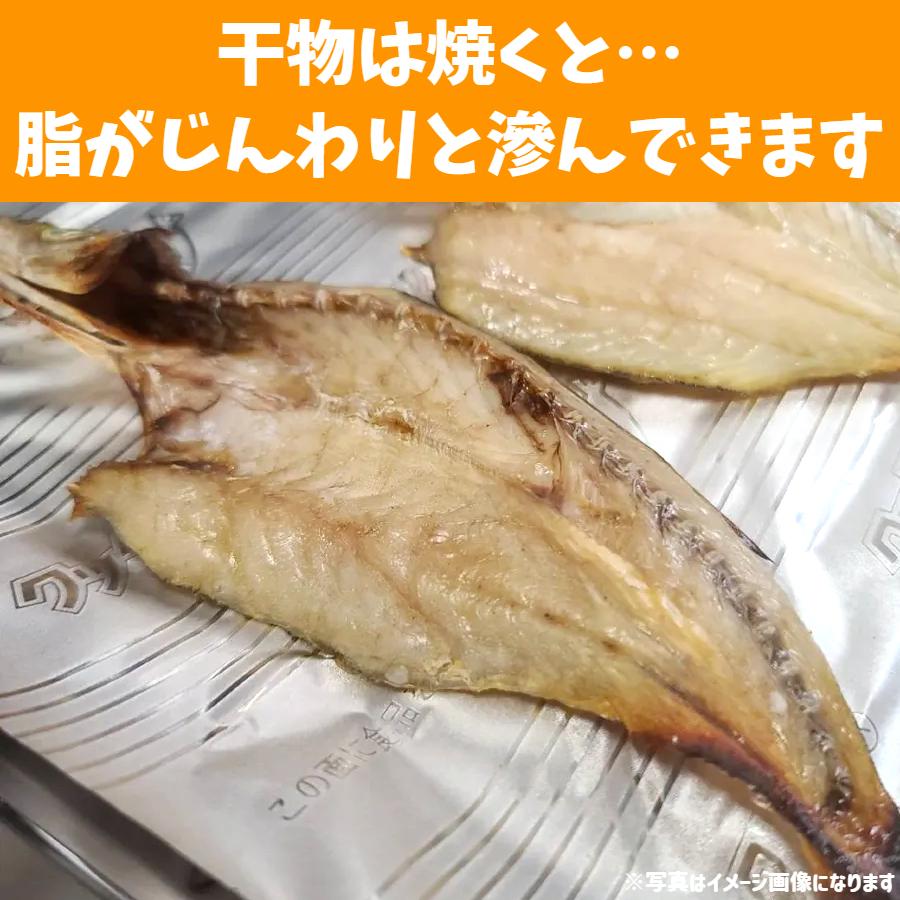 干物 ＆ 蒲鉾 セット 冷蔵 富山 父の日 ギフト 贈答品 お土産 魚の干物 かまぼこ 焼き魚