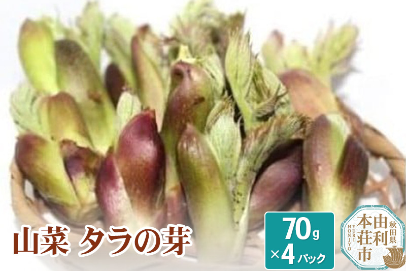 山菜 タラの芽 70g×4パック 天然 （発送は4月～5月頃）|08_tys-050401