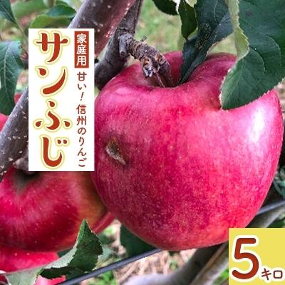 ふるさと納税 箕輪町 家庭用!りんご「サンふじ」　5キロ信州産