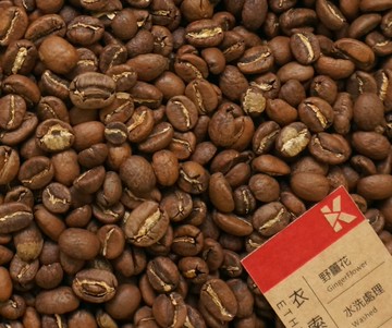 【花香單品】衣索比亞 野薑花 | 咖啡熟豆