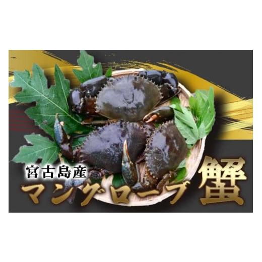 ふるさと納税 沖縄県 宮古島市 蟹蔵のマングローブ蟹