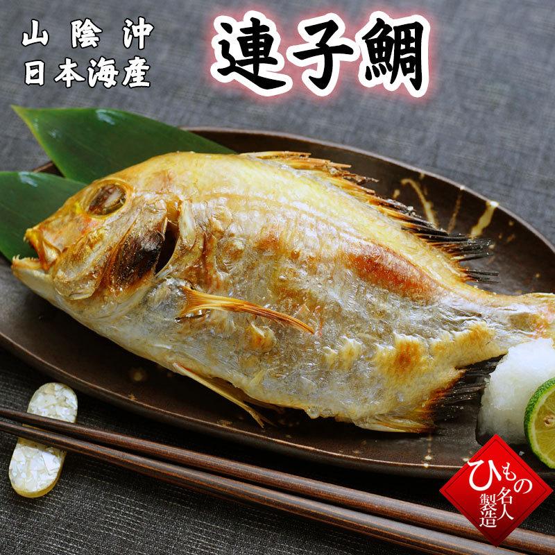 連子鯛丸干し（れんこだい） 干物（単品）  お取り寄せグルメ 山陰沖日本海産