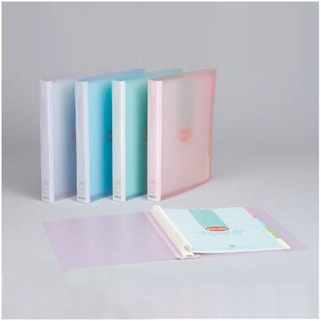 新德牌Sander 26孔柔彩活頁夾(10-301)綠