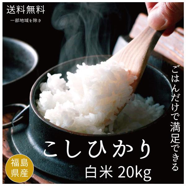 米 お米 米20kg 新米 コシヒカリ 白米20kg 5kgx4袋  令和5年度福島県産