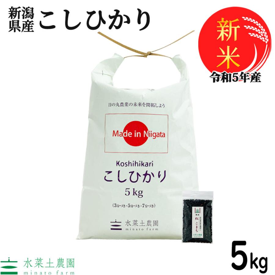 新米 米 お米 米5kg こしひかり 精米 令和5年産 新潟県産 古代米お試し袋付き