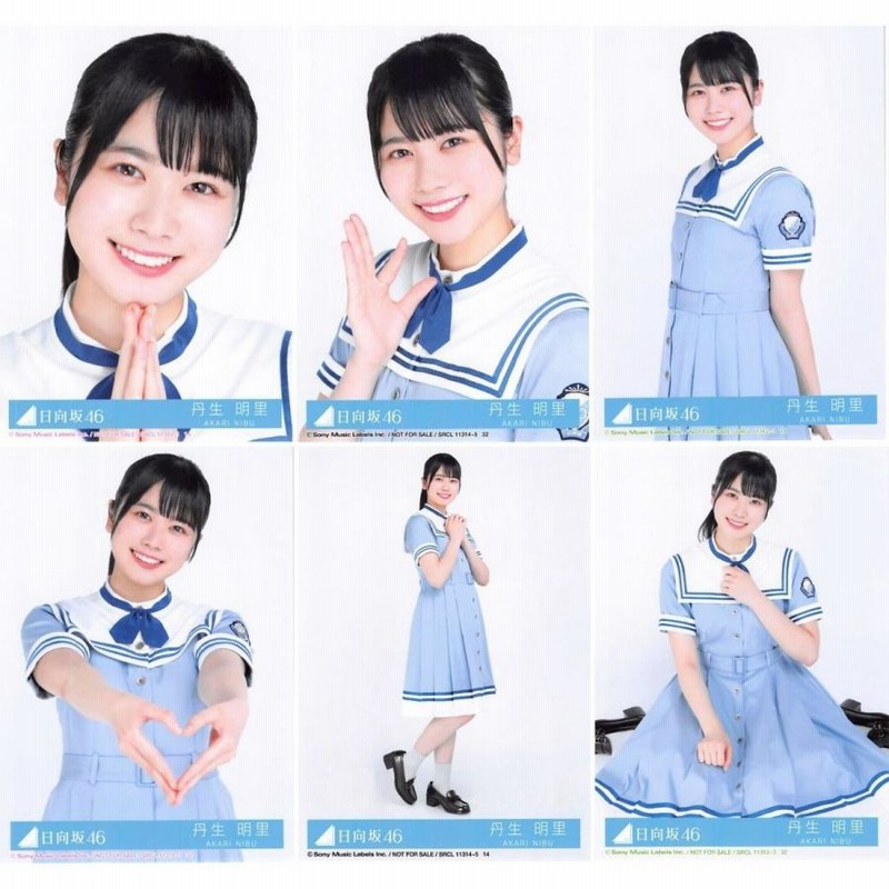 【個別購入可】日向坂46 シブツタ限定 フライヤー 日向坂46 14thシングル『Love yourself!』の発売を記念して