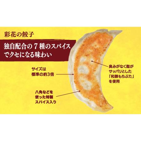 ふるさと納税 　餃子10個入り 栃木県宇都宮市