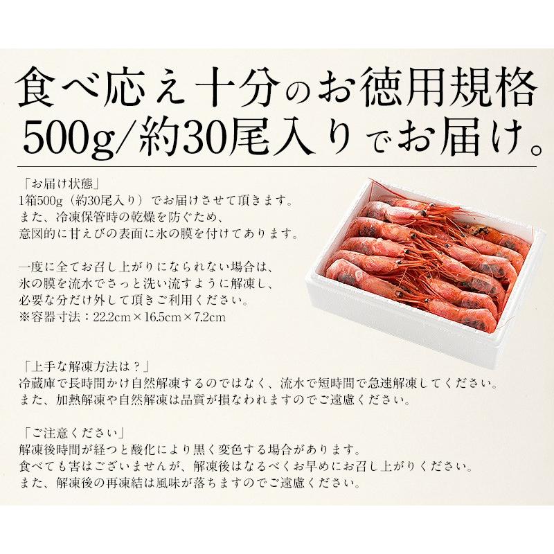 甘エビ 甘えび 子持ち 特大サイズ 500g（約30尾入り）刺身用 越前産 甘えび 海老 えび エビ 贈り物 お祝い プレゼント ギフト 冬グルメ 冬ギフト