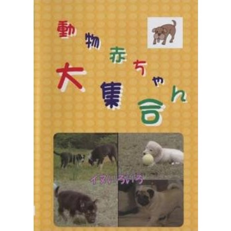 動物赤ちゃん大集合 11 イヌ いろいろ 中古 DVD | LINEショッピング