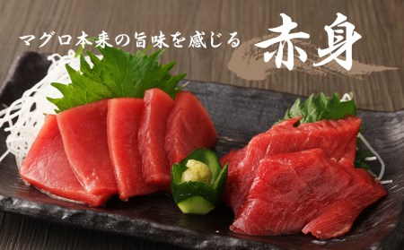 長崎県産 本マグロ「赤身」約500g