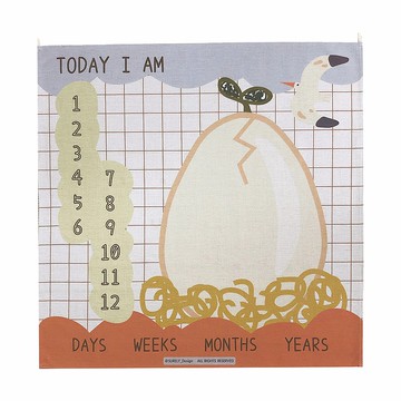 【現貨】送子鳥伊諾傳遞的信息 | 寶寶成長紀錄布海報_藍天款