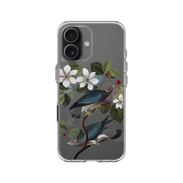 iPhone 17 Clear Case（相機按鈕） 透明 - The British Library - 美洲鳥譜 ‧ 帶尾原鴿